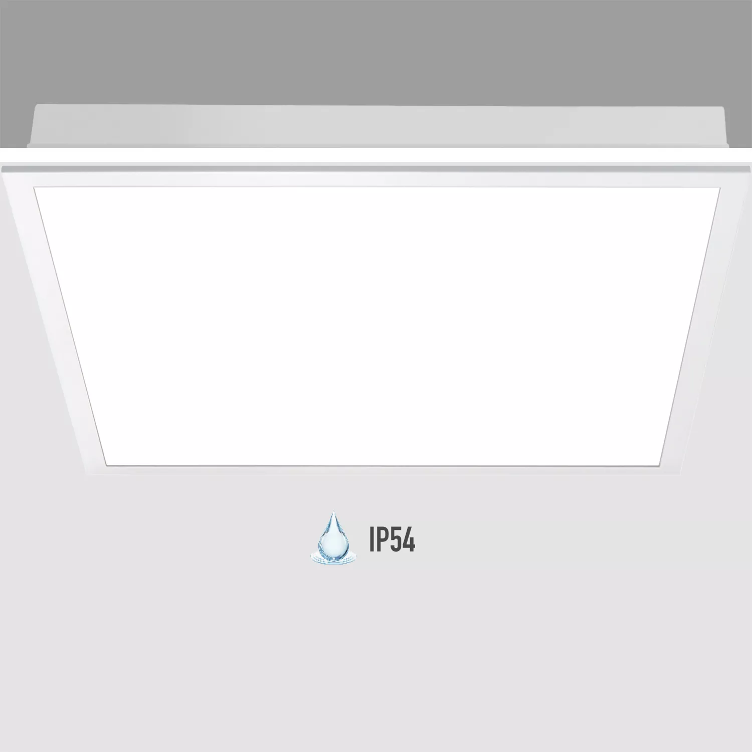 LGO-WP