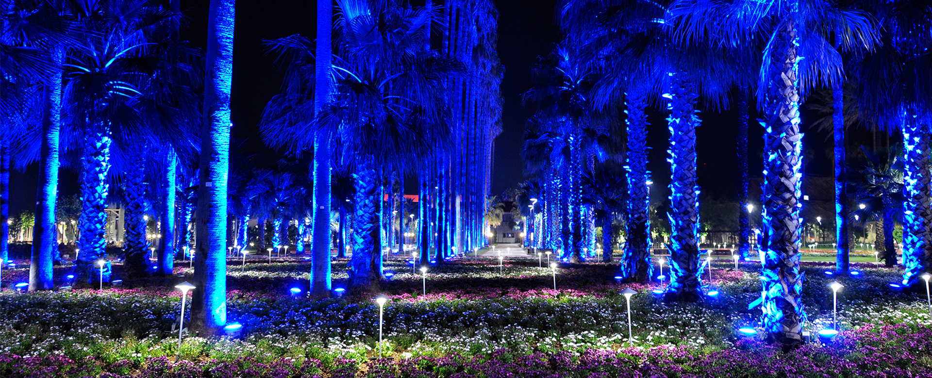 Lighting Planning for Parks and Gardens