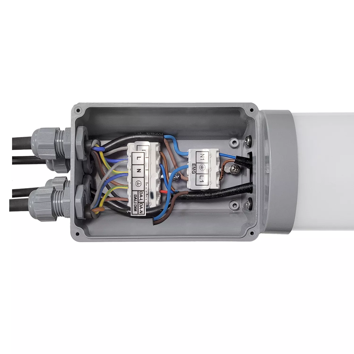 Cable Connection