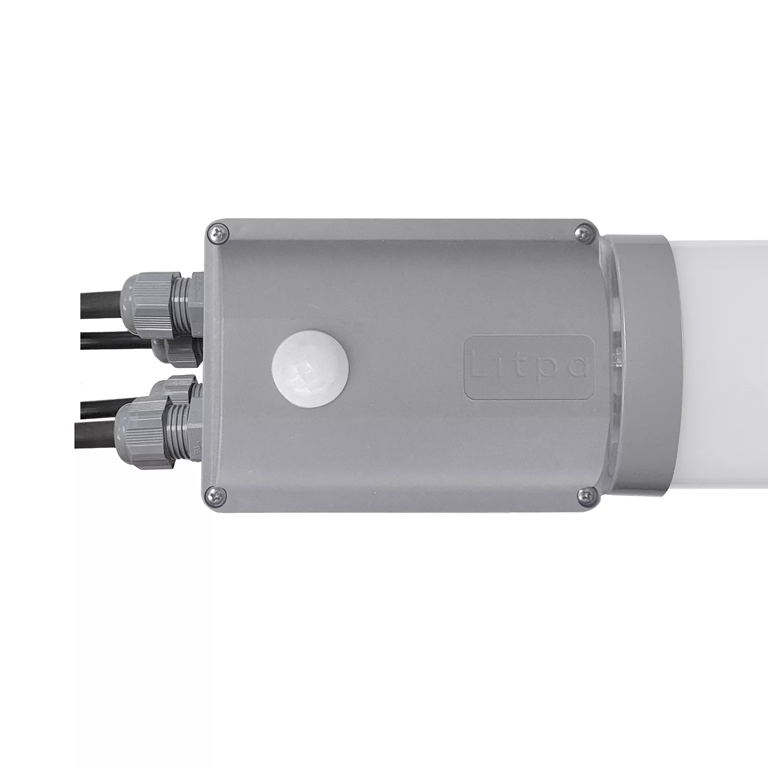 Sensor