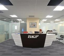 SKF Rulman